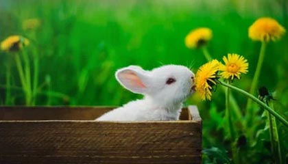 开云娱乐：云端之光，重新定义你的日常娱乐